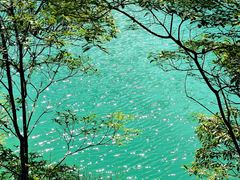 -广州市流溪河国家森林公园