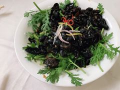 -黄埔华苑酒家(黄埔店)