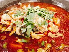 石锅鱼-虎虎龙虾大排档(双井店)