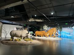 -狐尾山公园