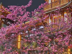 -大佛古寺