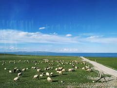 -青海湖国家重点风景名胜区