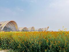 -中国天府农业博览园