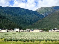 -纳帕海依拉草原