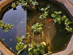 -留香花园(淮海街商业街店)