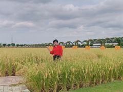 -迪茵湖田家舍生态农场
