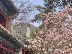 -潭柘寺景区