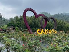 -黄陂区野村谷景区