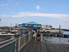 -日照世帆赛基地