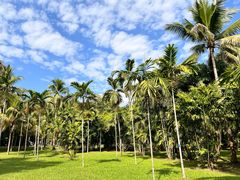 -中国科学院西双版纳热带植物园
