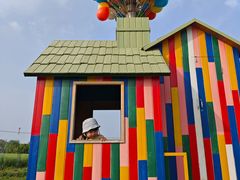 -苏州太湖西山岛开心农场