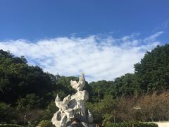 -金鸡山公园