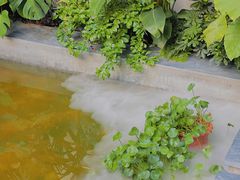 -漫笙舍Manse·咖啡·民宿