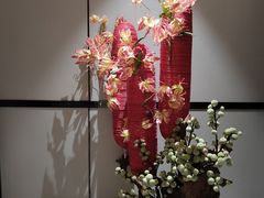 -青水瓦台汤泉(未央店)