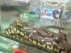 -渔民新村(番禺总店)