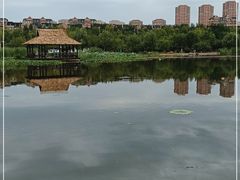 -前关湿地公园