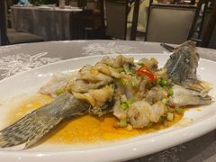 葱油焗桂花鲈-香云轩·顺德菜(香云纱园林酒店店)