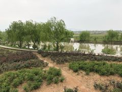 -漩门湾国家湿地公园