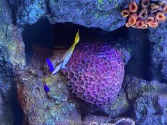 -沈阳海洋探索中心