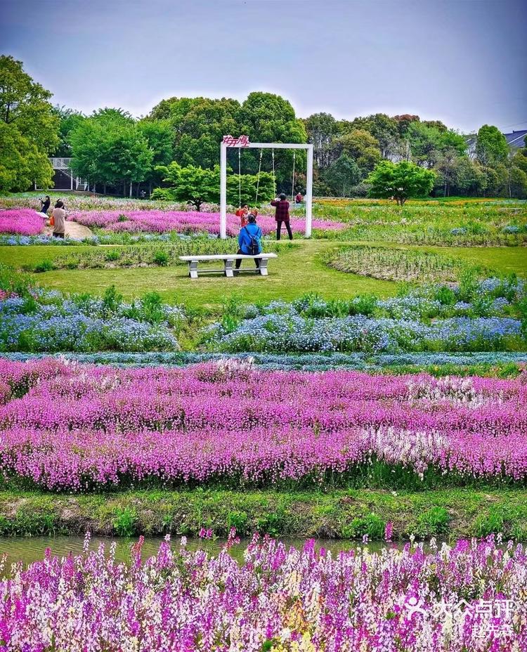 花开海上生态园游记图片