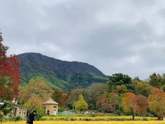 -塔川景区