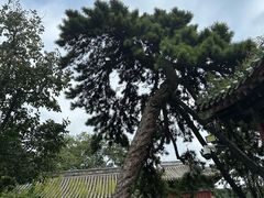 -潭柘寺景区