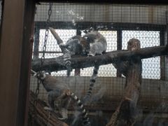 -昆明动物园