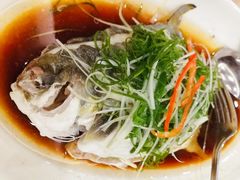 清蒸黄立仓-金鮀岛潮州酒家
