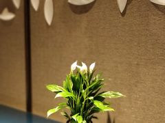 -博林天瑞喜来登酒店·西丽尚膳