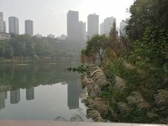 -重庆彩云湖湿地公园