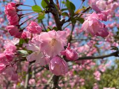 -昆山城市生态森林公园
