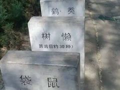 android_upload_pic-北京麋鹿生态实验中心