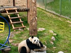 -栾川竹海野生动物园