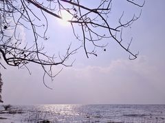 -捞渔河湿地公园
