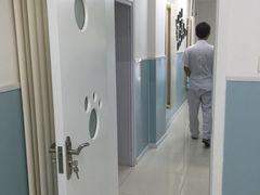 爱雅宝贝动物医院-中农大我爱我爱24h动物医院·中医针灸·猫专科·骨科医疗中心(双井店)