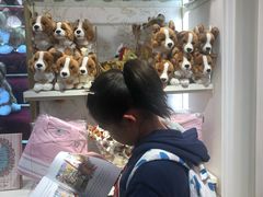 -白金汉宫
