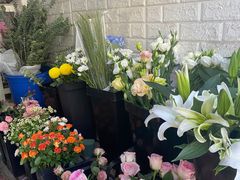 -雪蔓之鲜花气球派对(家佳源时代中心店)