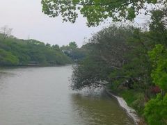 -江心屿景区