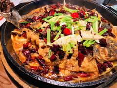 -老板恋上鱼(恒隆广场店)