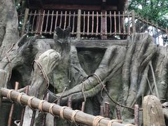 -祥源·阜阳生态乐园