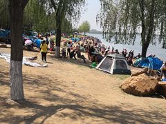 -丁香湖公园