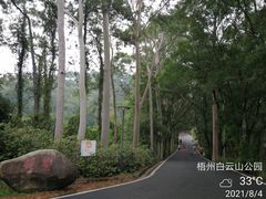 -白云山风景名胜区