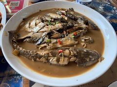 -渔家小院观海海肠捞饭地方菜(环海中路店)