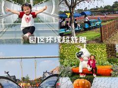 -盈香心动乐园