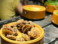 扇贝-龍歌自助小火锅(城阳万象汇店)