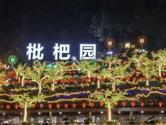 -枇杷园食为鲜火锅(南山店)