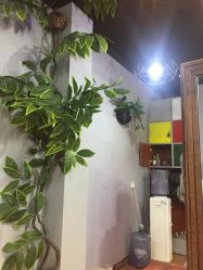 -Ly形象设计