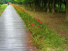 -南湖湿地公园