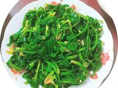 -大班家政月嫂育儿嫂(总部店)