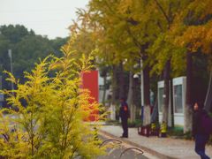 -昆山城市生态森林公园